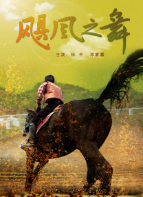 玩家大婶